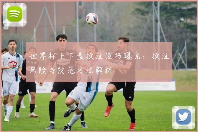 世界杯上下盘投注技巧曝光，投注风险与防范方法解析